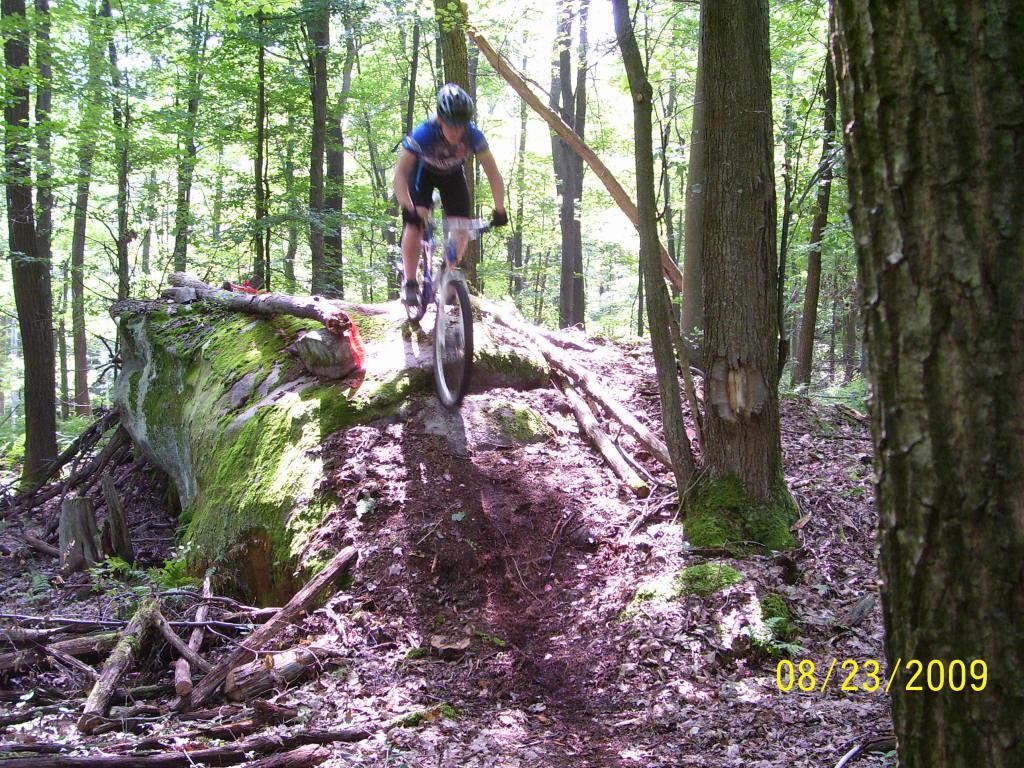 A cyclist in a blue jersey is captured mid-air as they jump off a moss-covered log in a dense forest. Sunlight filters through the trees, illuminating the scene, which features a mix of dirt, leaves, and fallen branches on the forest floor. Big Bear Lake Trail Center mountain bike trail.