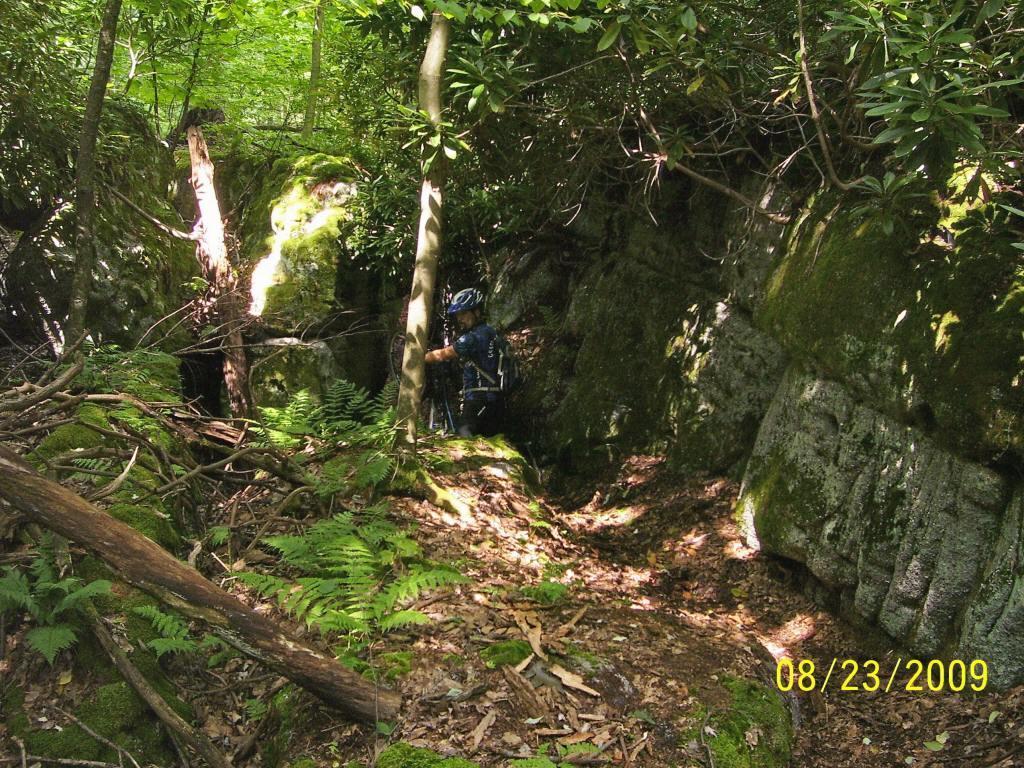 A person dressed in outdoor gear stands in a wooded area filled with dense greenery, ferns, and rocky formations. Sunlight filters through the tree canopy, illuminating the vibrant foliage and moss-covered stones. The scene captures the essence of an adventure in a natural setting. Big Bear Lake Trail Center mountain bike trail.