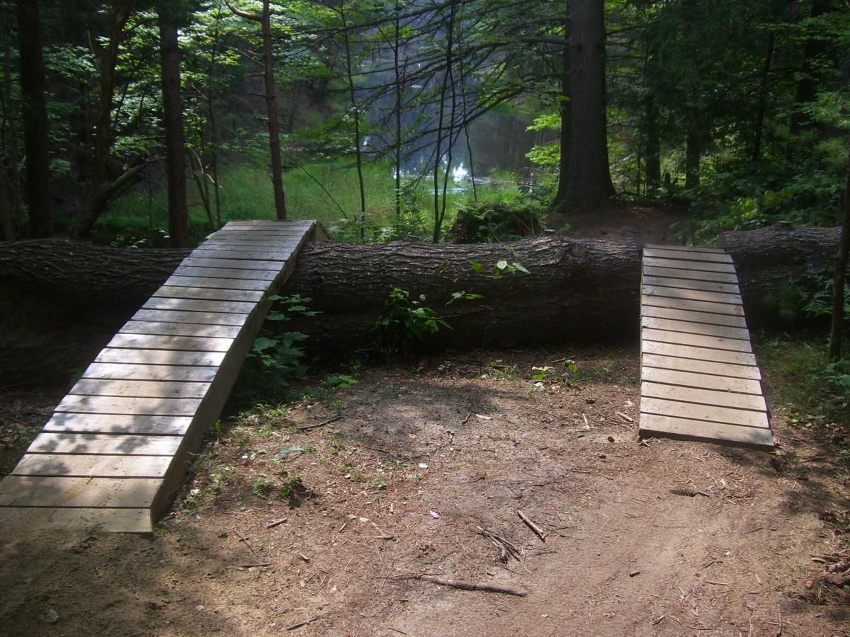 A wooden bridge made of planks spans a fallen tree trunk in a forest setting. The area is surrounded by tall trees and lush greenery, with a glimpse of a reflective body of water in the background. The ground is covered with a mix of dirt and small plants, creating a natural pathway. Saxon Hill mountain bike trail.