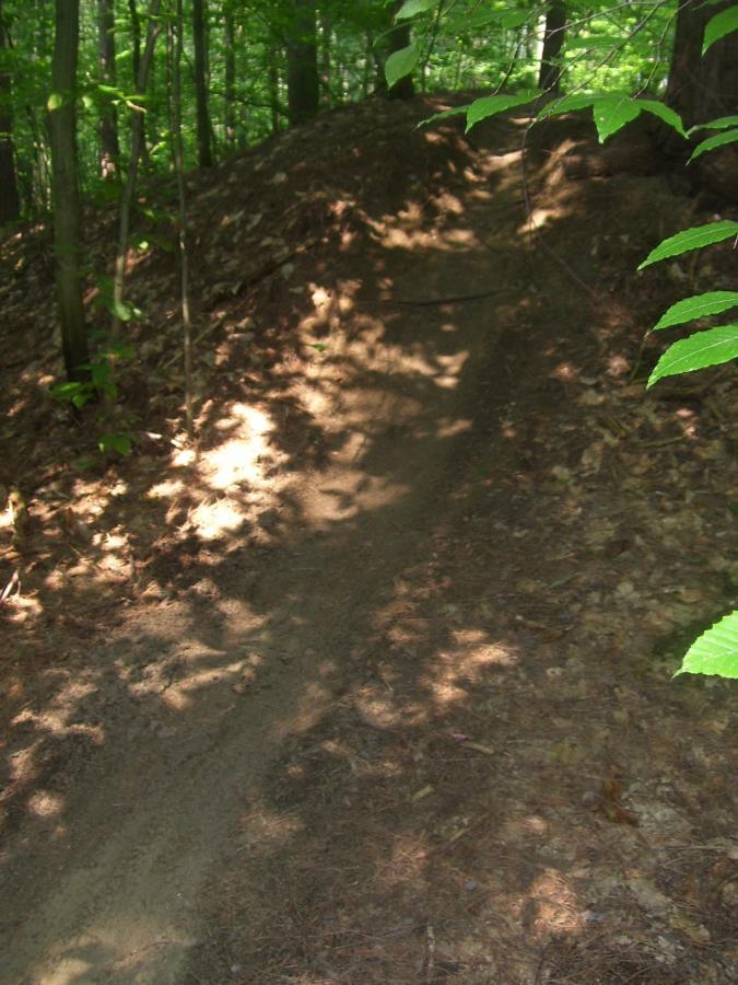 A dirt pathway winding through a lush green forest, with sunlight filtering through the leaves and creating dappled shadows on the ground. The path appears natural and slightly elevated, surrounded by trees and fallen leaves. Saxon Hill mountain bike trail.