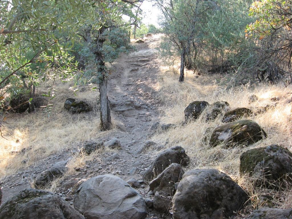 A dirt path winding uphill through a dry, grassy landscape, flanked by trees and scattered rocks. Sunlight filters through the foliage, highlighting the trail's uneven texture. Upper Bidwell Park mountain bike trail.