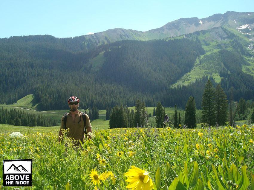 A person standing in a vibrant, flower-filled meadow with green mountains and pine trees in the background. The individual is wearing a helmet and a backpack, suggesting they are engaged in outdoor activities like hiking or biking. The sun is shining, creating a bright and inviting atmosphere. Trail 401 mountain bike trail.