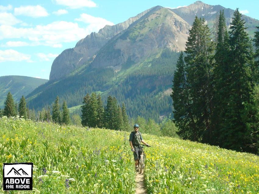 A person riding a mountain bike on a narrow dirt trail through a vibrant field of wildflowers, surrounded by lush greenery and tall trees. In the background, majestic mountains rise against a blue sky with fluffy clouds. The scene captures the beauty of outdoor adventure and nature. Trail 401 mountain bike trail.