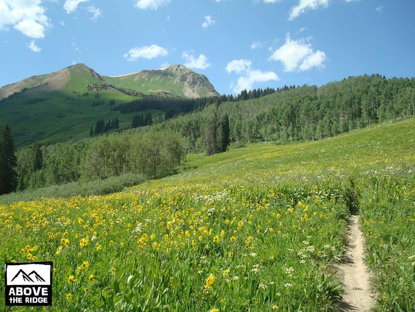 A scenic view of a lush, vibrant green meadow filled with yellow wildflowers, set against a backdrop of rolling hills and tall mountains under a partly cloudy blue sky. A narrow dirt path winds through the field, inviting exploration of the natural landscape. Trail 401 mountain bike trail.