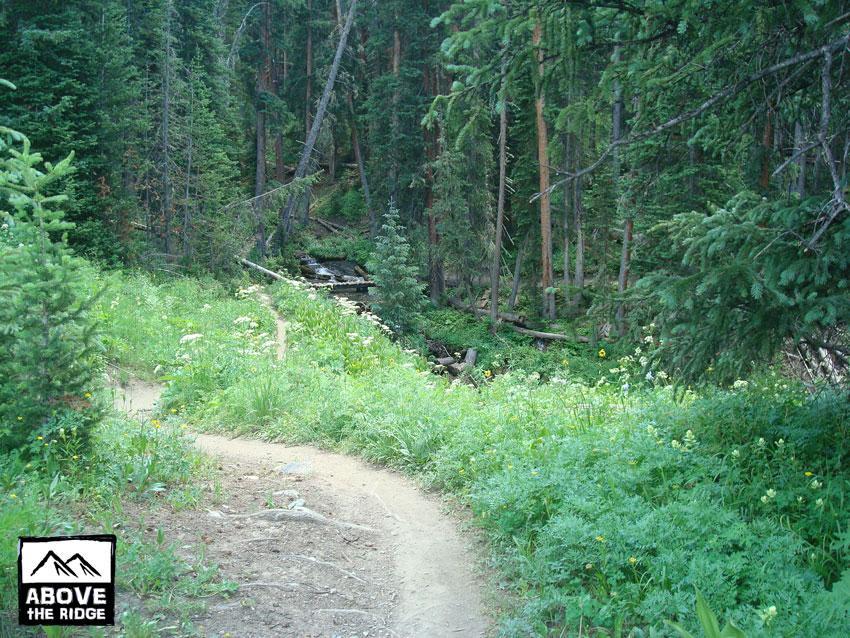A winding dirt trail leads through a lush green forest with tall trees and vibrant wildflowers. A small creek can be seen in the background, surrounded by logs and foliage, creating a serene natural scene. The image includes a logo in the bottom left corner, reading "Above the Ridge." Trail 401 mountain bike trail.