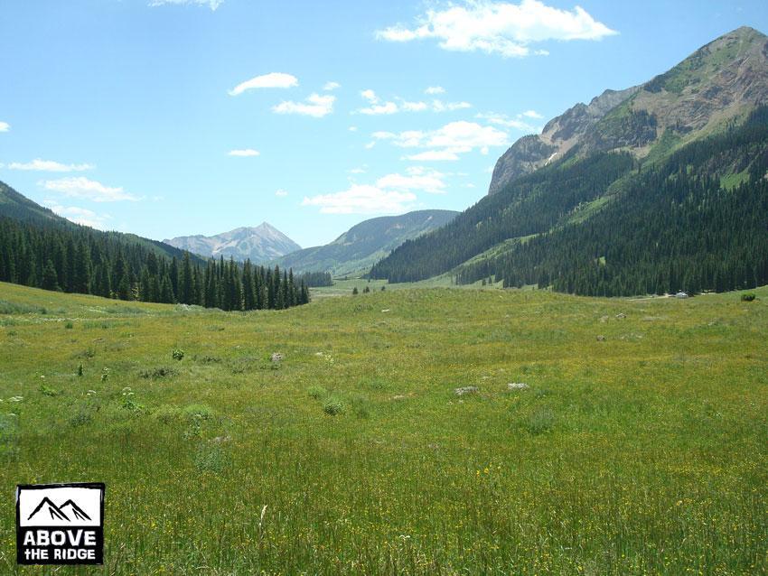 A panoramic view of a lush green meadow surrounded by towering mountains and dense pine forests under a bright blue sky with scattered clouds. The landscape is vibrant with wildflowers, creating a serene and picturesque natural setting. Trail 401 mountain bike trail.