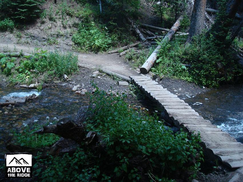 A wooden footbridge crosses a clear stream in a lush, green forest. The path leads into the woods, lined with ferns and scattered logs. In the background, trees provide a natural canopy, creating a serene and peaceful outdoor setting. Trail 401 mountain bike trail.