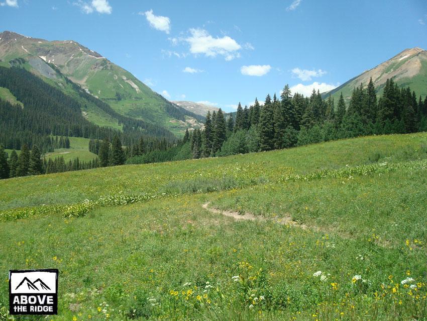 A serene landscape featuring rolling green hills and majestic mountains under a bright blue sky. Wildflowers bloom in a grassy meadow, with a trail winding through the scene. Tall evergreen trees border the meadow, creating a picturesque natural environment. Trail 401 mountain bike trail.