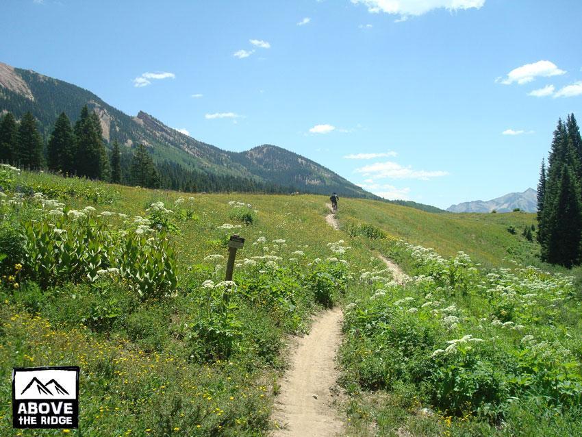 A scenic hiking trail winding through a vibrant green meadow filled with wildflowers, set against a backdrop of mountains under a clear blue sky. A person can be seen walking along the trail, with trees lining the edges of the meadow. A trail sign is visible on the left side of the path. Trail 401 mountain bike trail.