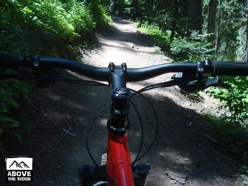 Alt text: View from the handlebars of a red mountain bike on a forest trail, surrounded by green foliage and trees. The dirt path winds through the scenery, indicating a natural outdoor setting for biking. Trail 401 mountain bike trail.