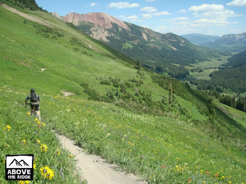 A person riding a mountain bike on a winding trail through a vibrant green valley, surrounded by wildflowers and rolling hills. In the background, majestic mountains and a clear blue sky create a picturesque landscape. The scene captures the beauty of outdoor adventure and nature. Trail 401 mountain bike trail.