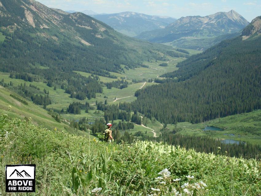 A hiker stands in a lush green meadow overlooking a vast valley surrounded by mountains. The landscape features winding paths, dense forests, and patches of water under a clear blue sky with a few clouds. A logo in the corner reads "Above the Ridge." Trail 401 mountain bike trail.