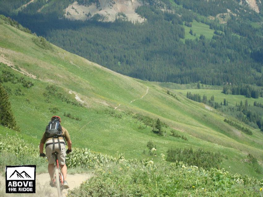 A mountain biker riding down a grassy trail surrounded by lush green hills and trees under a clear sky. The image features a winding path leading into the distance, emphasizing the scenic beauty of the landscape. The logo "Above the Ridge" is visible in the corner. Trail 401 mountain bike trail.