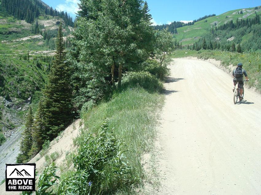 A mountain biker riding along a dirt path surrounded by lush greenery and trees. The trail winds through a scenic landscape with rolling hills and distant mountain slopes under a clear blue sky. Trail 401 mountain bike trail.