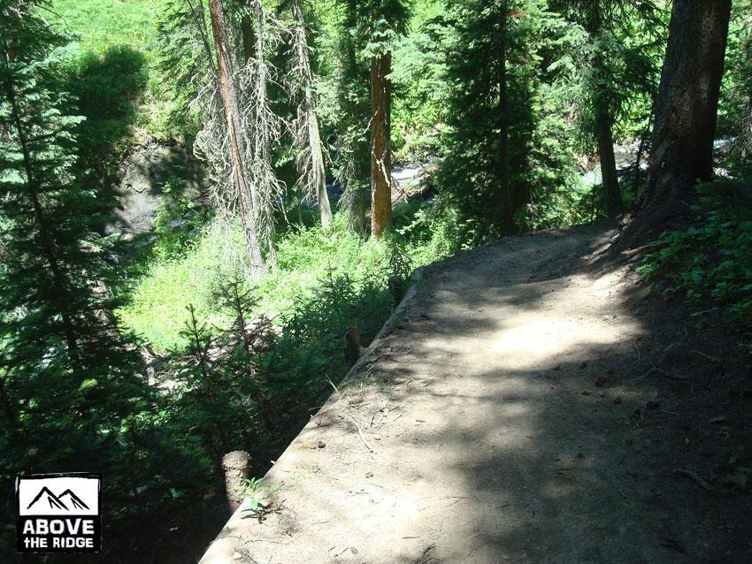 A sunlit dirt path winding through a dense forest of tall green trees, with lush vegetation on either side. The scene captures the natural beauty of a wooded area, showcasing the peacefulness of outdoor trails. Trail 401 mountain bike trail.