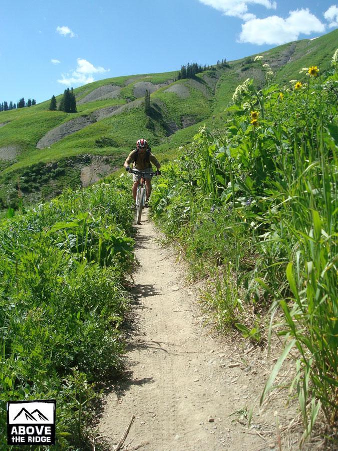 A mountain biker riding along a narrow dirt trail surrounded by lush greenery and wildflowers, with rolling hills in the background under a blue sky with scattered clouds. Trail 401 mountain bike trail.
