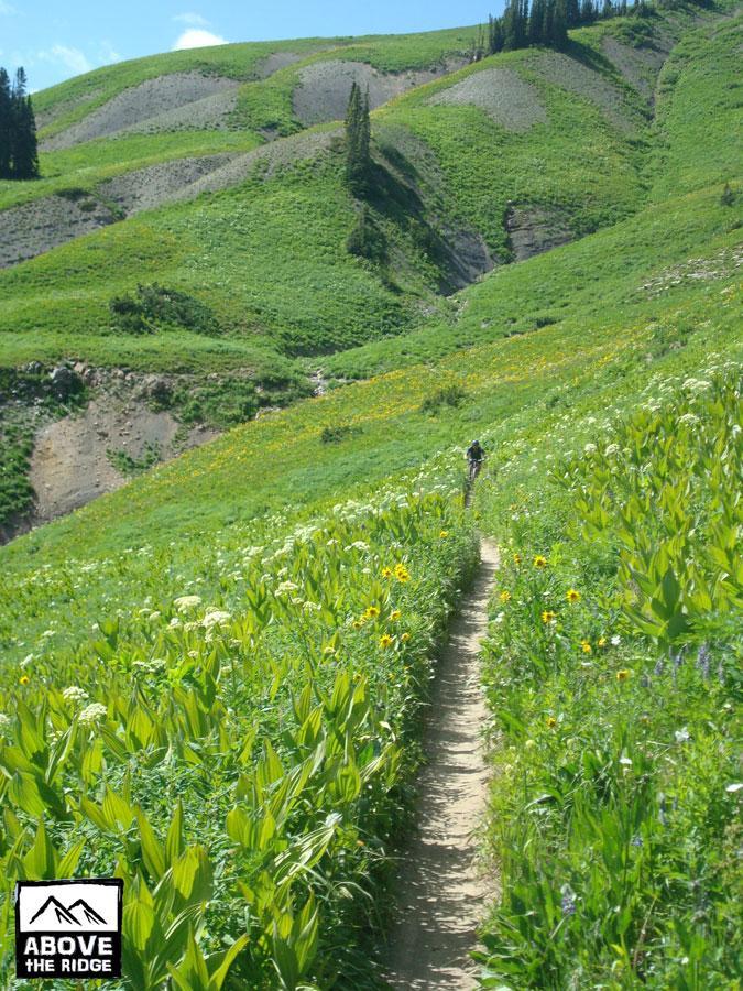A winding dirt path cuts through a vibrant green meadow filled with tall grasses and wildflowers. In the distance, a hiker can be seen walking along the trail, surrounded by lush hills and clear blue skies. The scene captures the beauty of nature and the serenity of a hiking experience. Trail 401 mountain bike trail.
