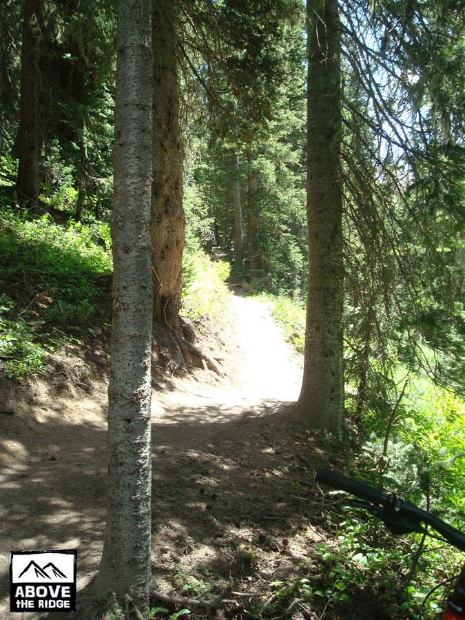 A sunlit dirt trail winding through a dense forest, flanked by tall trees on either side, with greenery and foliage visible along the edges. A bicycle handlebar is partially visible in the foreground, suggesting an outdoor adventure. The image captures a peaceful, natural setting perfect for mountain biking or hiking. Trail 401 mountain bike trail.