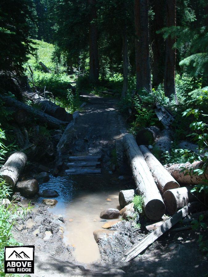 A forested trail crossing a small stream, featuring wooden logs used as a bridge. Surrounding vegetation includes tall trees and lush greenery, with sunlight filtering through the canopy. The scene is tranquil and natural, suggesting a remote hiking path. Trail 401 mountain bike trail.