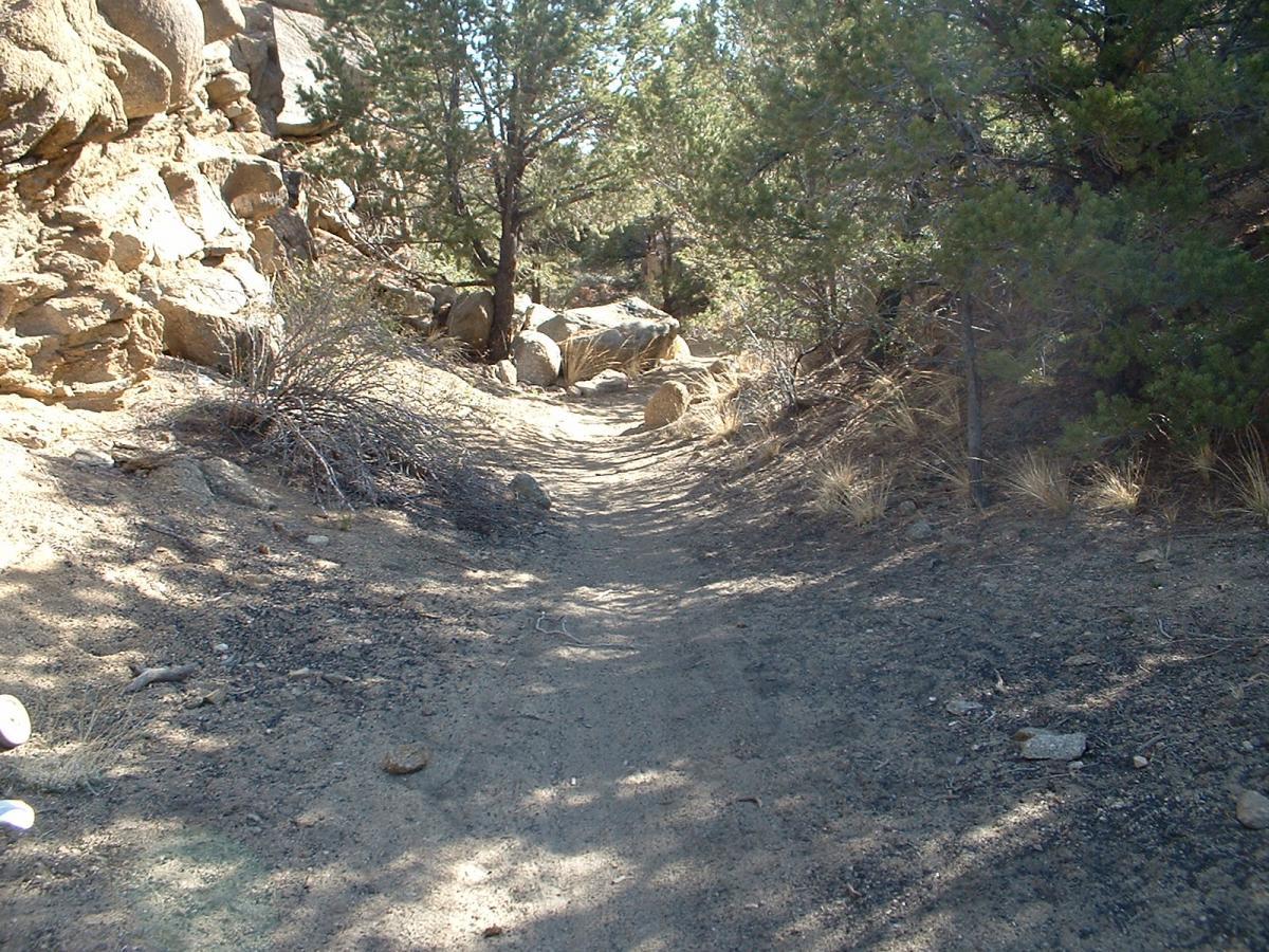 A narrow dirt path winding through a wooded area, flanked by rocky terrain and scattered vegetation, with dappled sunlight filtering through the trees. Midland Hills Trails mountain bike trail.