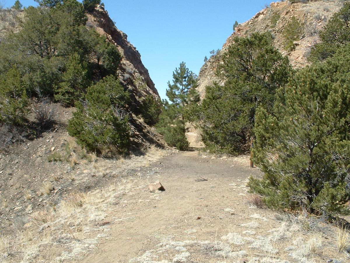 A dirt trail winding through a narrow canyon, flanked by rocky cliffs and lush green shrubs under a clear blue sky. Midland Hills Trails mountain bike trail.