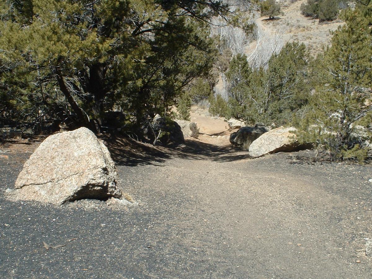 A dirt pathway winding through a natural landscape, flanked by large rocks and evergreen trees. Sunlight filters through the foliage, casting shadows on the trail. The terrain is rocky and uneven, typical of a forested area. Midland Hills Trails mountain bike trail.
