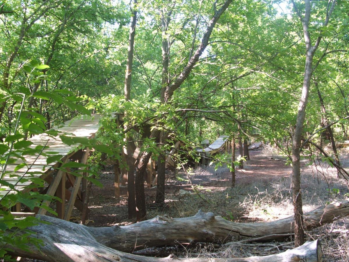A forested path featuring a wooden walkway, surrounded by lush green foliage and trees. Sunlight filters through the leaves, creating a serene, natural atmosphere. Wee-chi-ta mountain bike trail.