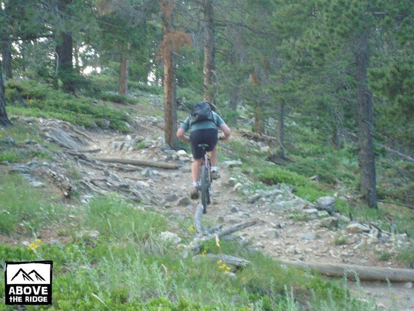 A mountain biker riding uphill on a rocky trail surrounded by trees in a lush forest setting. Elk Meadow mountain bike trail.