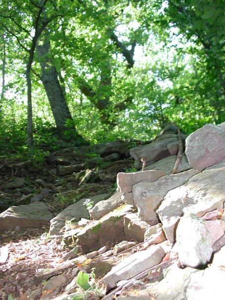 Rocky terrain leading up a gentle slope, surrounded by lush green trees and foliage. Sunlight filters through the leaves, casting dappled light on the ground. Monte Sano State Park &amp; Land Trust mountain bike trail.