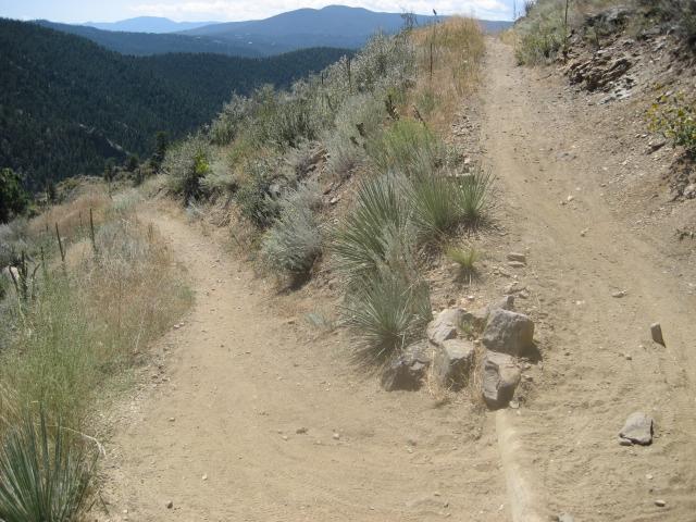 A dirt path diverging into two directions on a hillside, surrounded by dry grass and shrubs, with mountains in the background under a clear blue sky. Centennial Cone Park mountain bike trail.