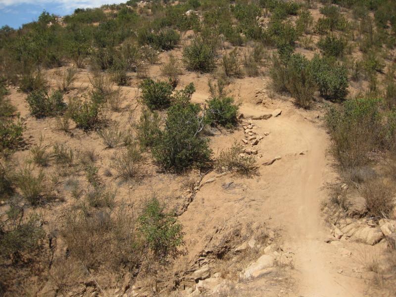 A dirt hiking trail winding through a dry, rocky landscape with scattered green bushes and sparse vegetation on a hillside under a clear blue sky. Sycamore Canyon mountain bike trail.