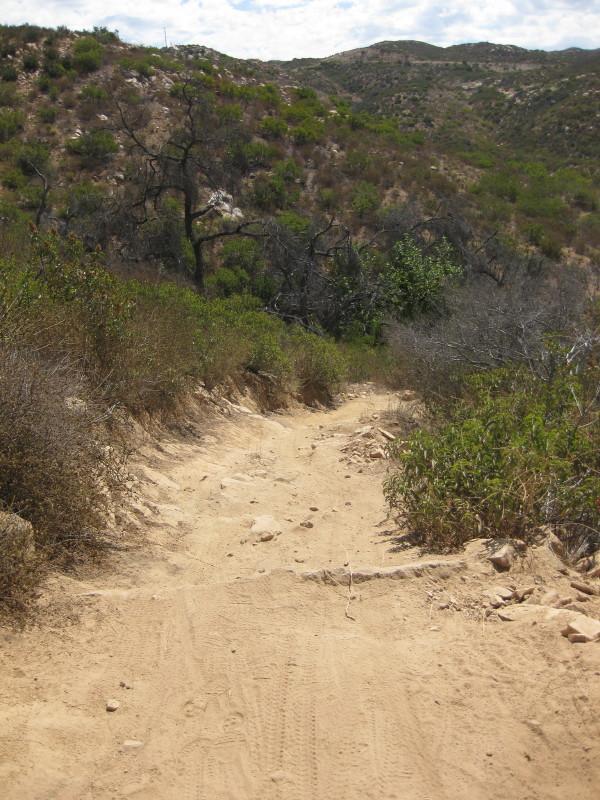 A dirt trail winding through a hilly landscape, surrounded by sparse vegetation and rocky terrain under a partly cloudy sky. Sycamore Canyon mountain bike trail.