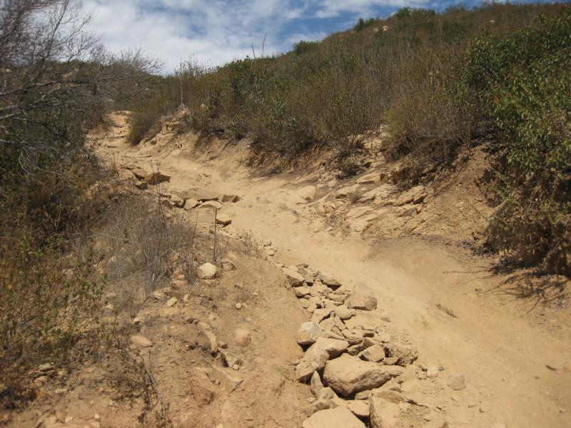 A rocky dirt path winding through sparse vegetation under a partly cloudy sky. The trail is uneven, surrounded by brown earth and small shrubs on either side, leading upwards toward a hill in the background. Sycamore Canyon mountain bike trail.