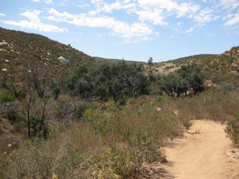 A scenic landscape featuring a dirt trail winding through a hilly area, surrounded by sparse vegetation and clusters of trees. The sky is partly cloudy, and rocky hills can be seen in the background, creating a natural, tranquil atmosphere. Sycamore Canyon mountain bike trail.