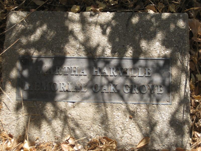 A bronze plaque embedded in a concrete slab, reading "Martha Harville Memorial Oak Grove," surrounded by dried leaves and tree shadows. Sycamore Canyon mountain bike trail.