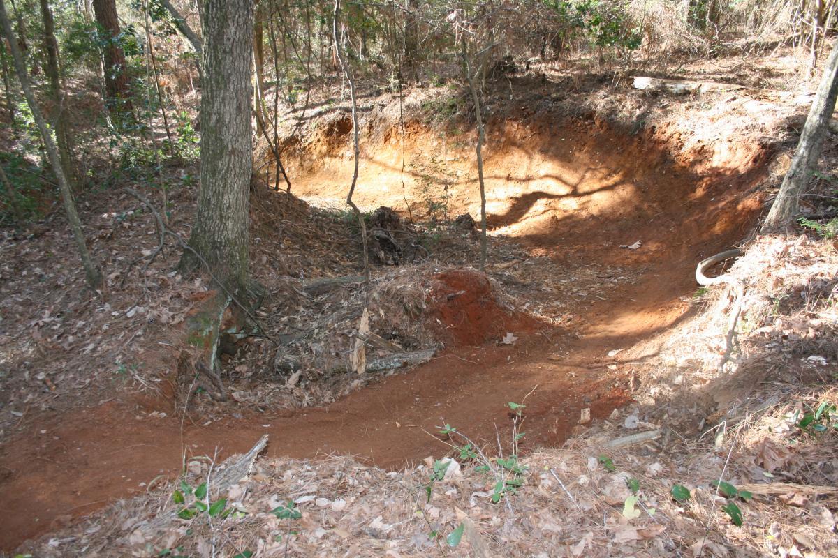 A dirt trail winding through a forest, showcasing a dirt bowl surrounded by trees and scattered leaves. Sunlight filters through the branches, highlighting the earthy tones of the soil and the natural features of the wooded area. Raider Trails mountain bike trail.