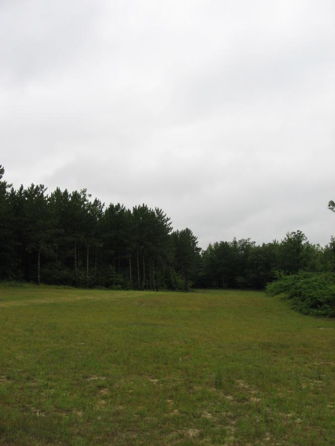 Lush green field bordered by dense trees under a cloudy sky. Levis Mounds mountain bike trail.
