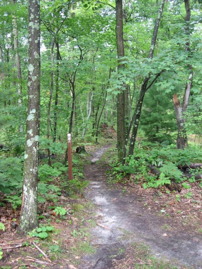 A narrow dirt trail winding through a lush green forest, flanked by tall trees and dense foliage. A wooden signpost is visible along the path, partially obscured by the surrounding greenery. The scene conveys a peaceful, natural environment. Levis Mounds mountain bike trail.