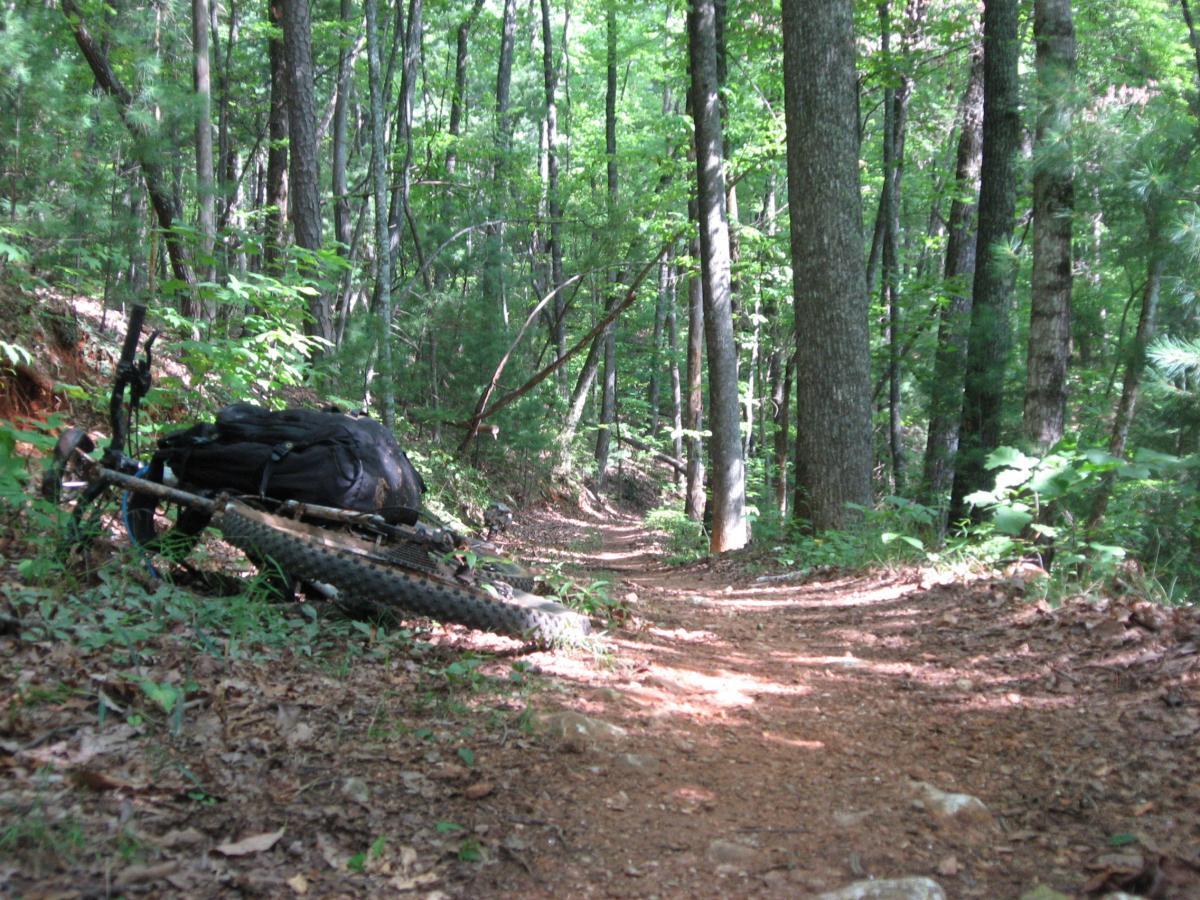 A mountain bike lying on its side next to a hiking trail, surrounded by dense green trees and foliage. The path winds through the forest, showcasing a mix of dirt and scattered leaves under the bright sunlight filtering through the canopy. Bull / Jake Mountain mountain bike trail.