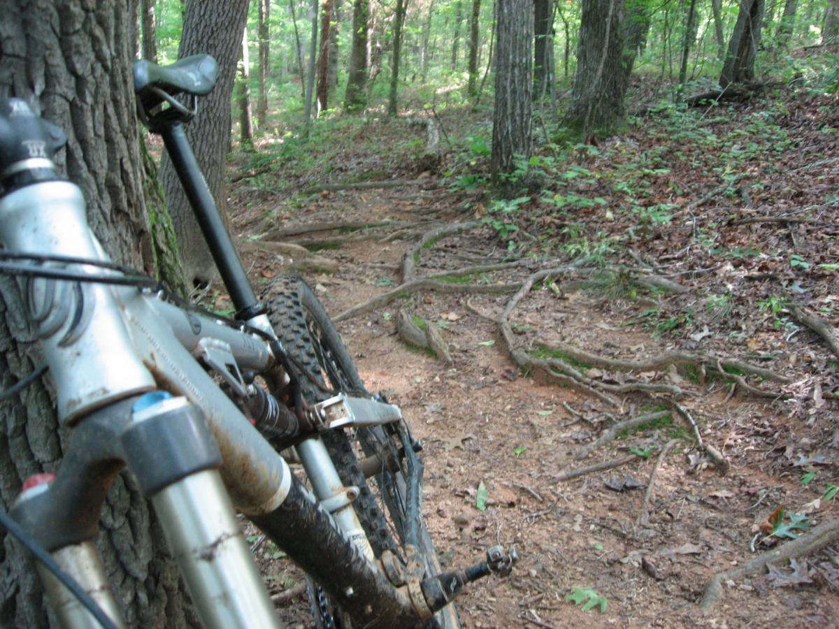 A close-up view of a mountain bike resting against a tree in a forest setting, with a dirt path visible in the background surrounded by foliage and tree roots. The bike appears slightly dirty, suggesting recent use on a rugged trail. Hawkes Creek mountain bike trail.