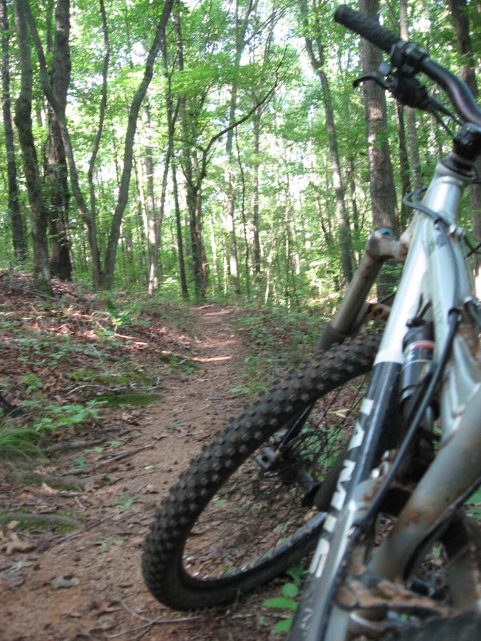 A mountain bike rests on a dirt trail surrounded by lush green trees in a dense forest. The trail winds into the distance, showcasing the natural beauty of the outdoor setting. Hawkes Creek mountain bike trail.