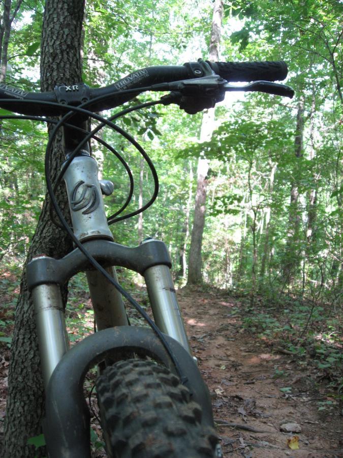 A close-up view of a mountain bike's handlebars and front suspension, positioned near a tree in a lush, green forest. The dirt path is visible in the background, surrounded by tall trees and foliage. Hawkes Creek mountain bike trail.