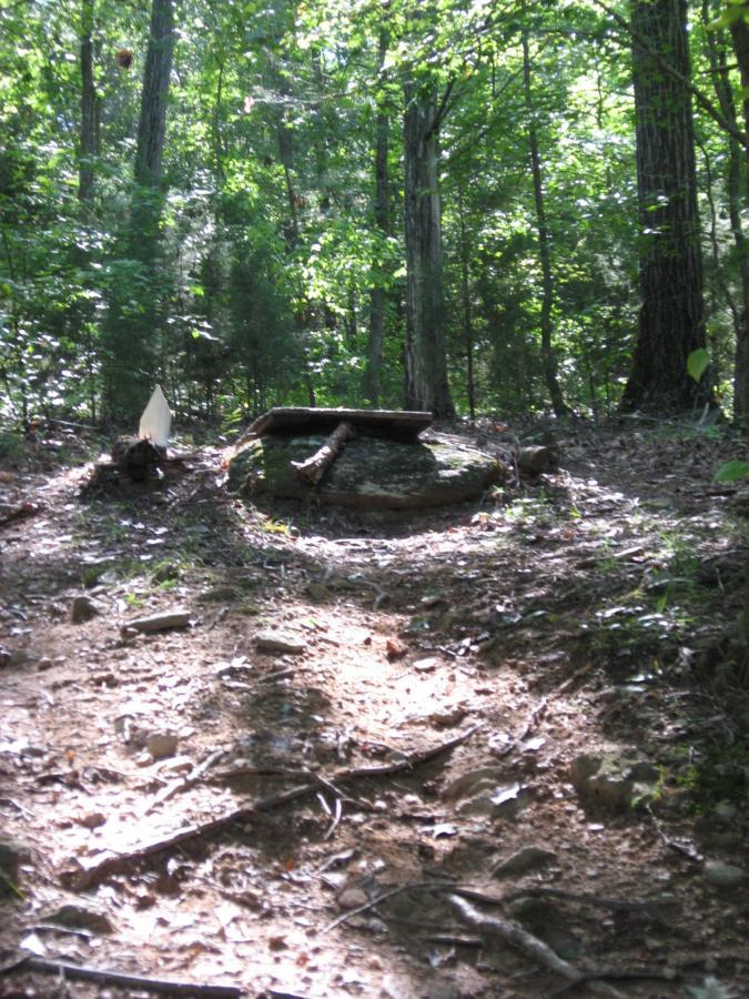 A rocky area along a forest trail, with a large stone and several sticks arranged on top. The sunlight filters through the trees, casting shadows on the ground covered in leaves and dirt. The surrounding woods are lush and green, creating a serene natural setting. Hawkes Creek mountain bike trail.