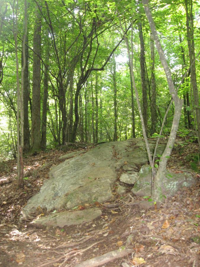 A rocky outcrop surrounded by lush green trees in a forest setting, with dappled sunlight filtering through the leaves. The ground is covered in fallen leaves and small rocks, indicating a natural trail leading up to the large boulder. Hawkes Creek mountain bike trail.