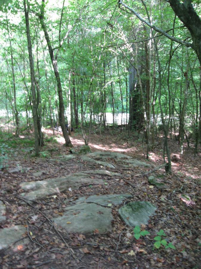 A wooded path surrounded by trees, with sunlight filtering through the leaves. The ground is covered with rocks and fallen leaves, leading deeper into the forest. Hawkes Creek mountain bike trail.