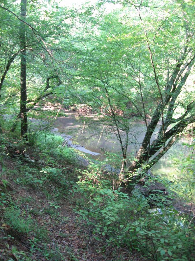 A serene view of a wooded area beside a calm river. Dense green foliage surrounds the scene, with trees framing the water's edge and sunlight filtering through the leaves, creating a peaceful atmosphere. The ground is covered in grass and small plants, leading down to the riverbank. Heritage Park mountain bike trail.