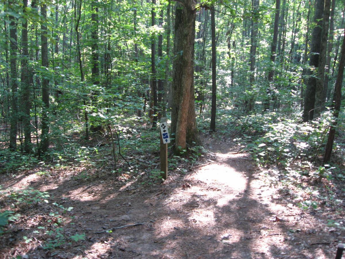 A wooded area with tall trees and dappled sunlight filtering through the leaves. A dirt path forks, leading in two directions, with a signpost featuring trail markers for navigation. The ground is covered with fallen leaves and undergrowth. Heritage Park mountain bike trail.