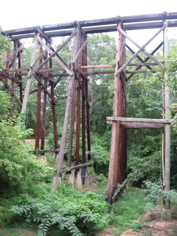 Alt text: A dilapidated wooden bridge support structure surrounded by dense greenery and trees, showing signs of decay and overgrowth. Oconee River Greenway mountain bike trail.