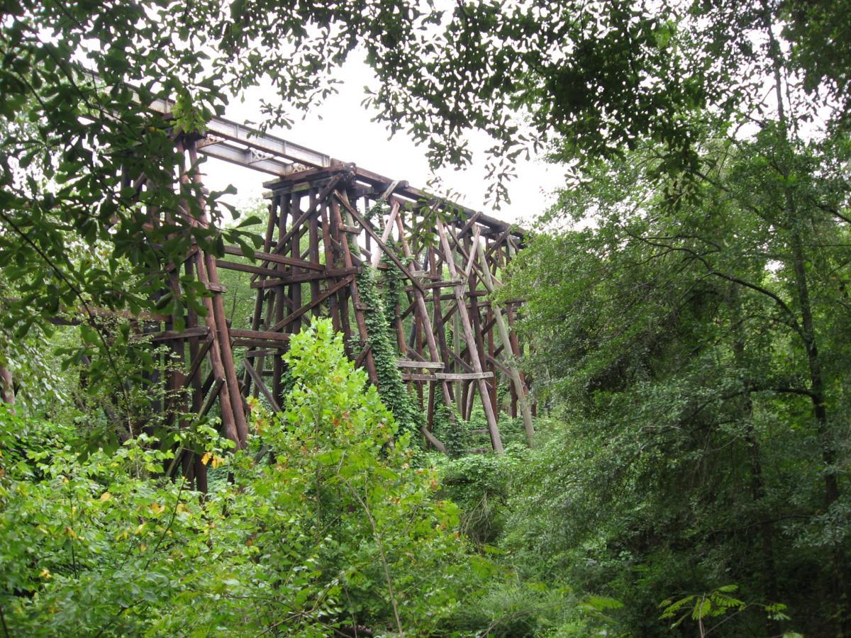 An old wooden bridge partially covered in greenery, surrounded by dense trees and foliage, under a cloudy sky. Oconee River Greenway mountain bike trail.