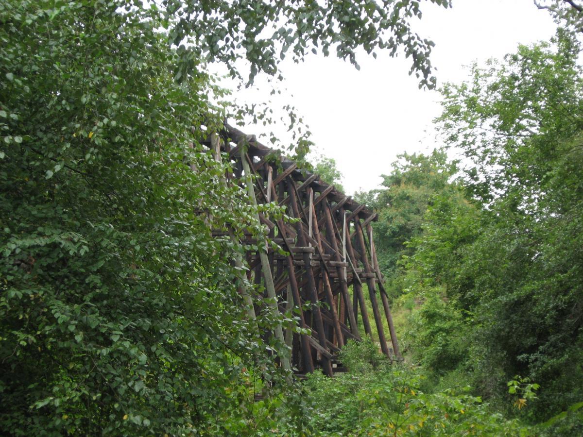 A wooden trestle bridge partially obscured by dense greenery, set against a cloudy sky. Oconee River Greenway mountain bike trail.